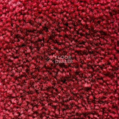 Ковролин AW Masquerade Gaudia 19 фото 1 | FLOORDEALER